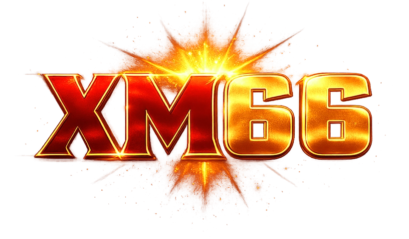 xm6666.net